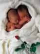bébés